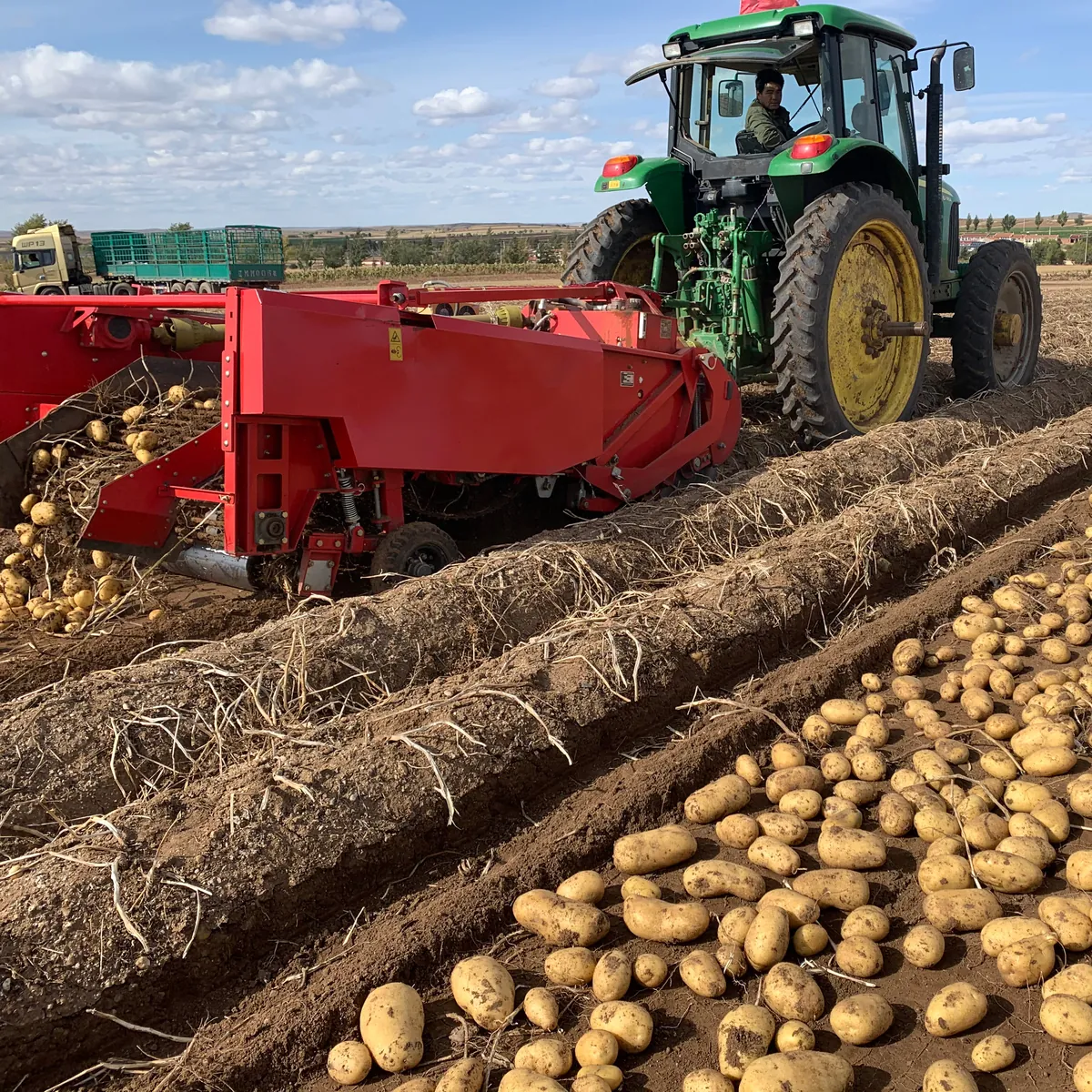 Potato Harvester